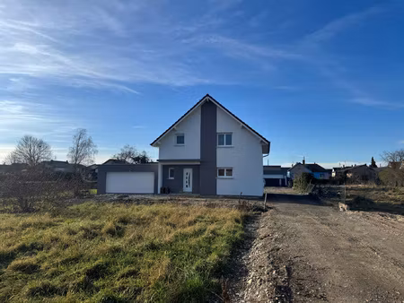 proche ottmarsheim et frontiere allemande  maison neuve!