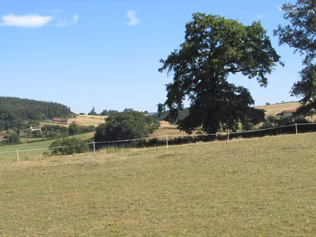 terrain à vendre de 1 73 ha le rousset-marizy (71)