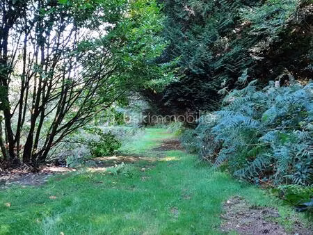 terrain de loisir 9275 m² - cognac la forêt 87310