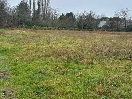 location terrain agricole