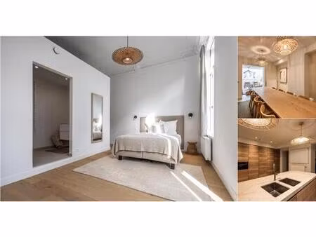 appartement à louer à plantin en moretuslei 79 anvers (rwc41942)