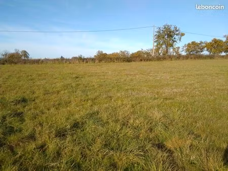 terrain constructible