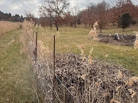 vends terrain agricole planter en truffière