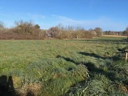 terrain constructible