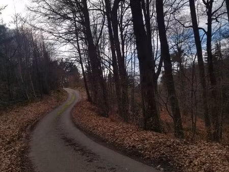 vend terrain agricole boisé