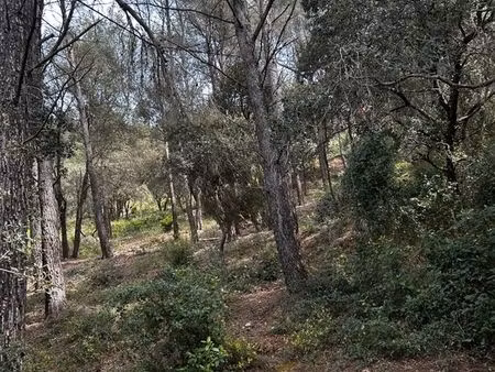 terrain non constructible la cadiere