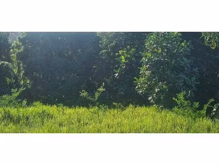 terrain constructible à vendre