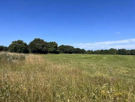 vente terrain à cholet (49300) : à vendre / 597m² cholet