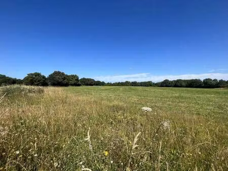 vente terrain à cholet (49300) : à vendre / 607m² cholet