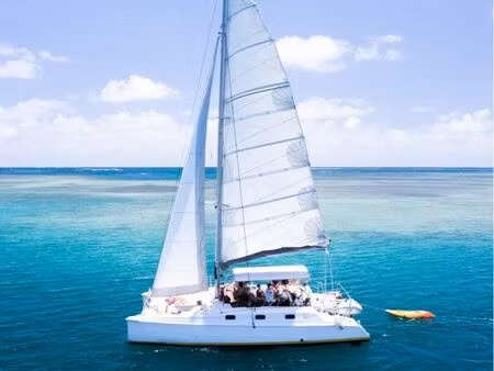 fond de commerce excursions en catamaran ty domino