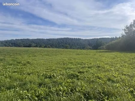 terrain 1 500 m² roannes saint mary