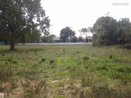 terrain constructible