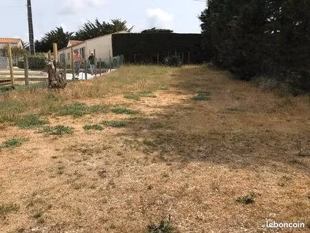 terrain constructible