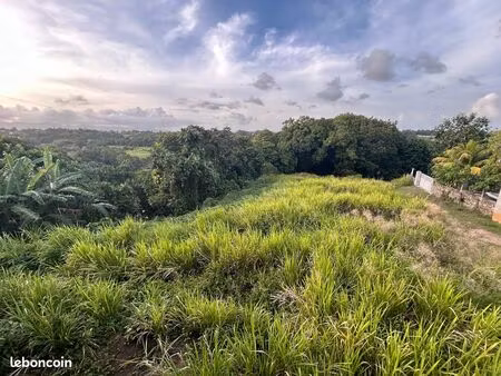 terrain constructible 3700 m² sur la commune de petit bourg (guadeloupe)