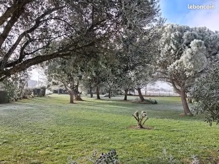 terrain 2 703 m² reparsac