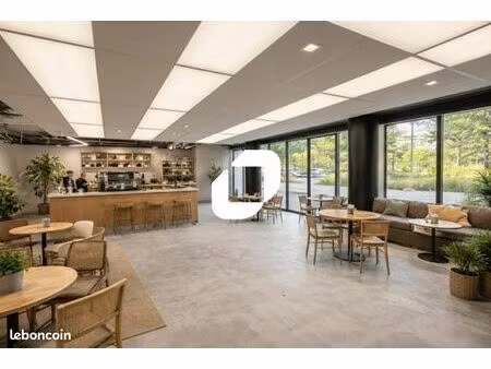 local commercial 274 m²