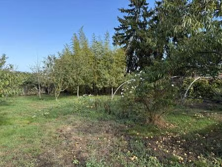 vente terrain à andrezé (49600) : à vendre / 550m² andrezé