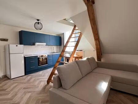 appartement t2 45m2 hyper centre ville avec mezzanine