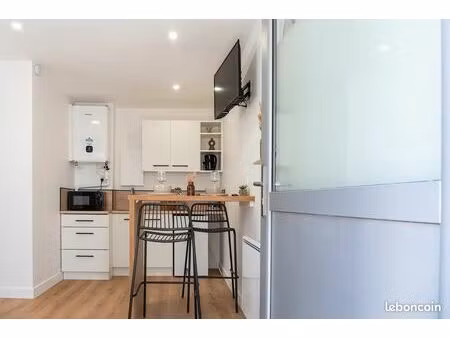 studio entièrement rénové - 20m2