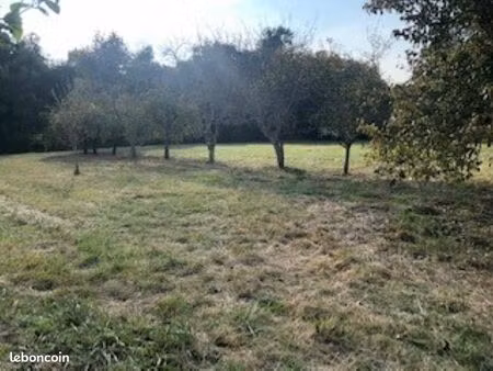 terrain 1 290 m² antonne et trigonant