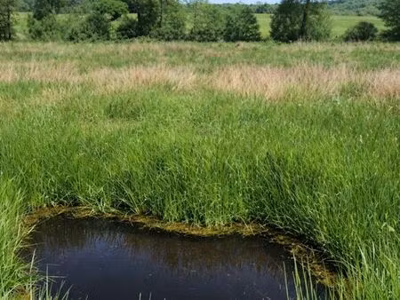 terrain 2h5 à janaillat