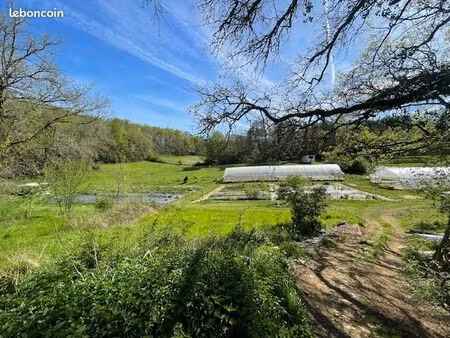 exploitation maraichère / pépinière