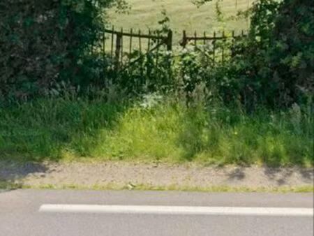 terrain de loisirs région deauville pont l'évêque viabilisé non constructible classé agric