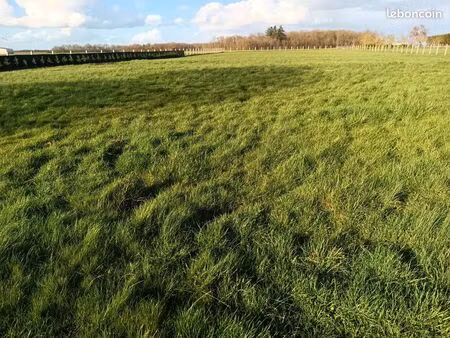 terrain constructible