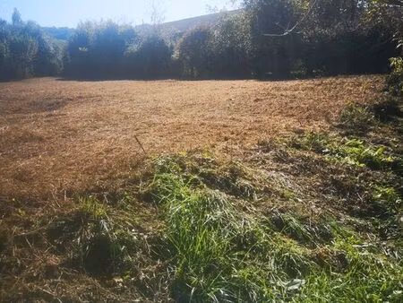 terrain constructible