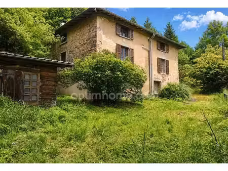 valsonne (69170) – maison 180m² à rénover sur terrain boisé 3300m² – ancien gîte de france