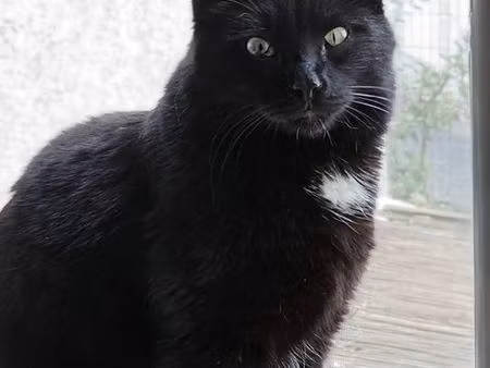 cherche terrain pour mobile home