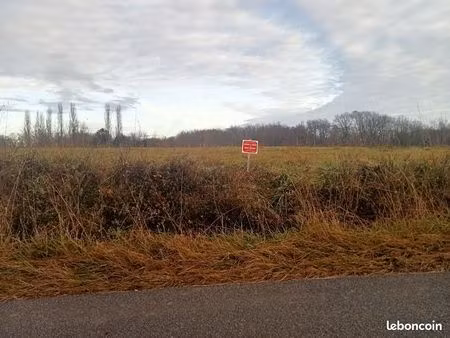 a louer terrain forêt à siest 40180 sud de dax