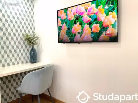 chambre 1 pièce 13 m²