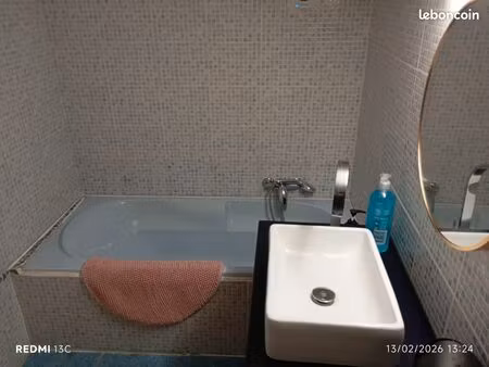 tiny house la châtre centre t2 libre