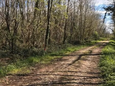 terrain boisé - 4053 m²