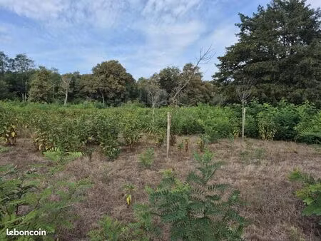 terrain 1 109 m² saint symphorien