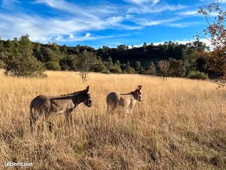 nord montpellier très beau terrain dans un cadre idyllique