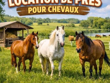 location de pré 4000m2