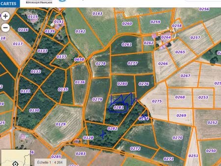 bois feuillus chasse palombe