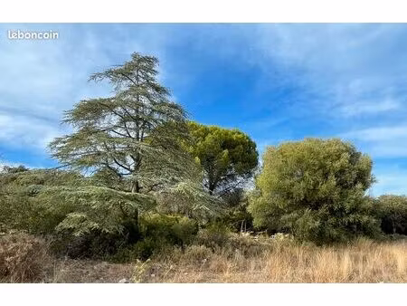 terrain de loisirs/ agricole