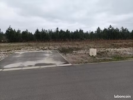 terrain 505 m² parentis en born