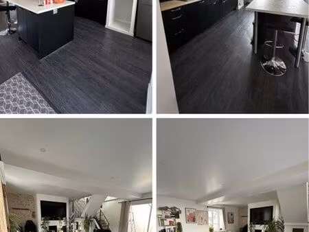 maison mitoyenne 3 pièces -issoudun (36)