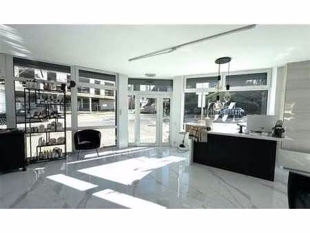 magnifique surface ommerciale