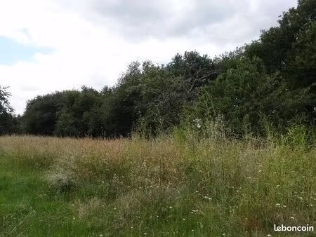 terrain 800 m² belin beliet