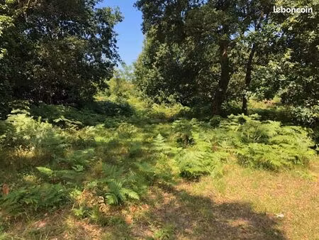 terrain 500 m² labenne