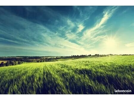 terrain 1 000 m² blere