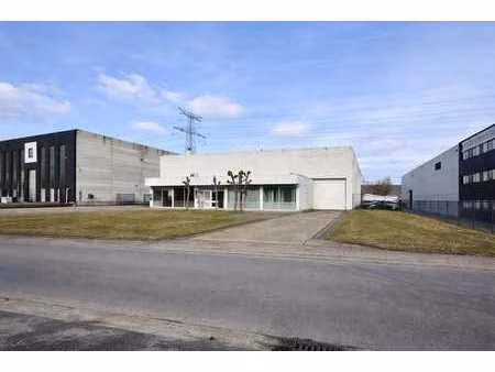 à louer bâtiment industriel à temse avec stockage extérieur