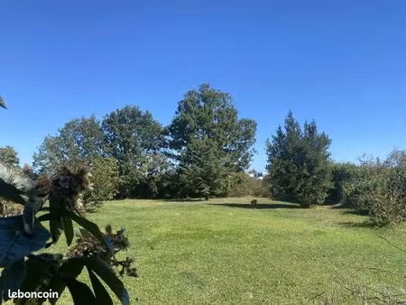 beau terrain arboré environnement exceptionnel