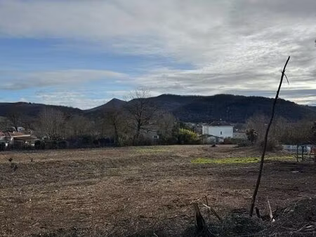 ? opportunité exceptionnelle – 14 850 m² – vue pyrénées – maison 200 m² – boussens