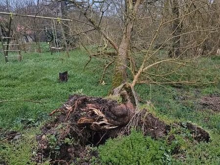 terrain constructible 16890m2